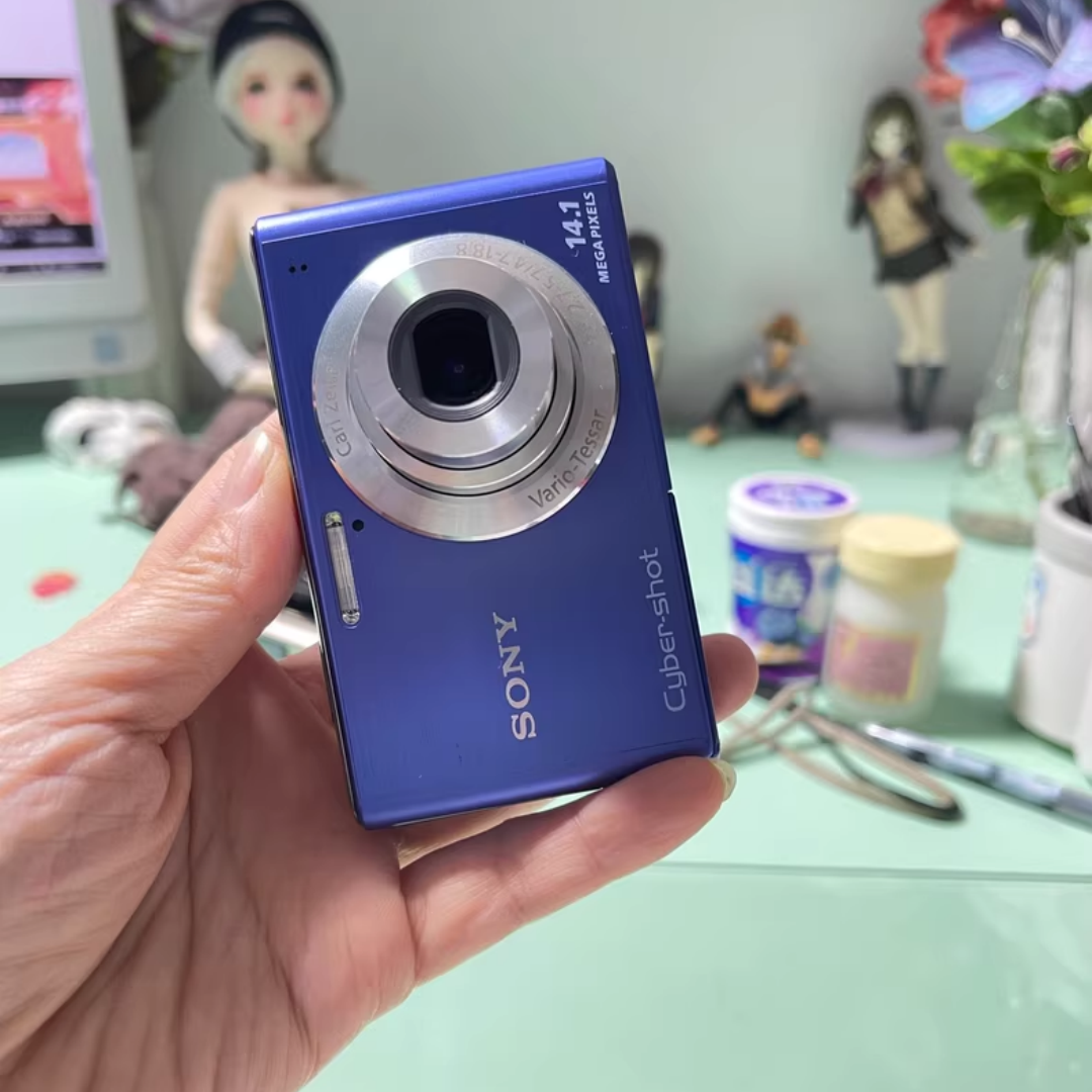 Sony Cyber-shot DSC-W550 14.1MP Digital Camera - Silver for sale