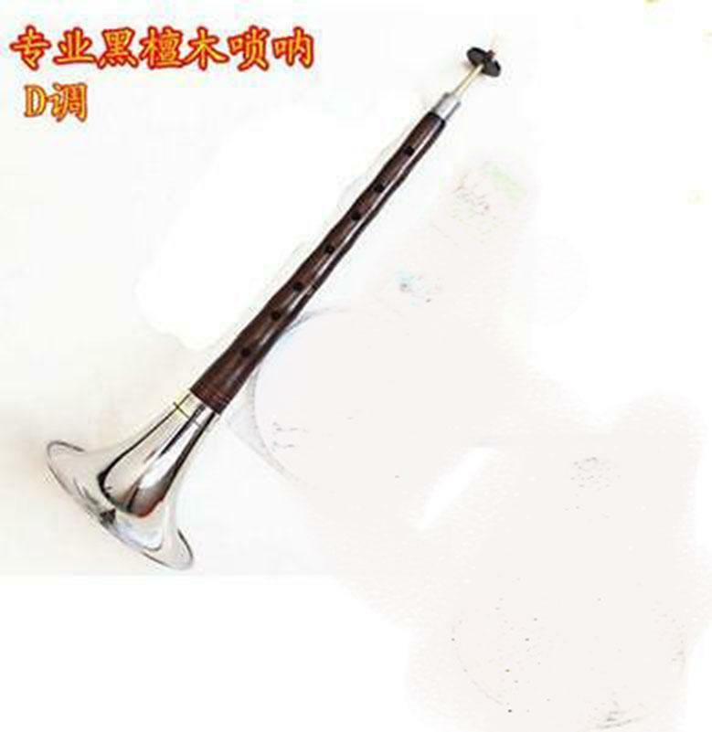 Professional Wood Suona Woodwind Instrumen Wooden Zurna D Key eBay