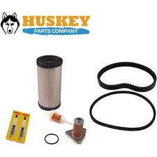 Complete Golf Cart Tune Up Kit W/ Belts For EZGO TXT 2006+ 4 Cycle 295/350cc