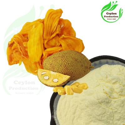 Matured Jackfruit Whole/powder Dried Organic Artocarpus heterophyllus Kathal