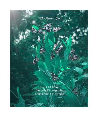 Flight of colorButterfly Photographers: Awsome Pictures of butterflies, Peter Ja