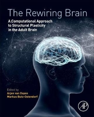 The Rewiring Brain: A Computational Approach to Structural Plasticity in the