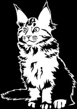 Adesivo MAINE COON - sticker - adesivo auto Maine Coon - contorno #07-W