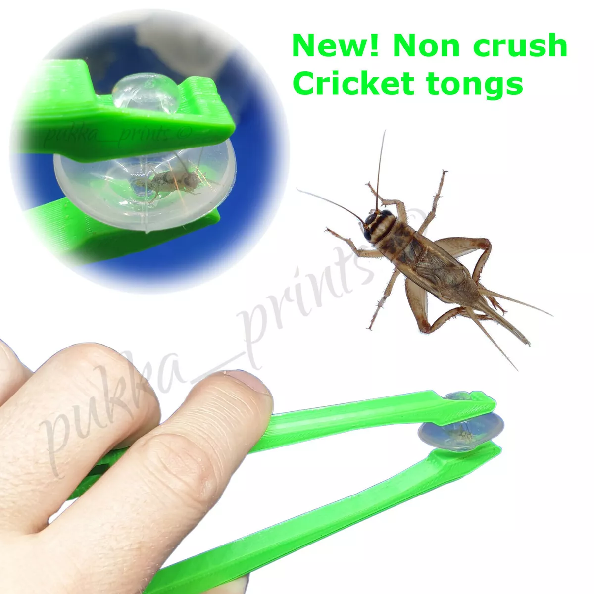 Reptile feeding tongs tweezers hoppers crickets live food snakes gecko NON CRUSH