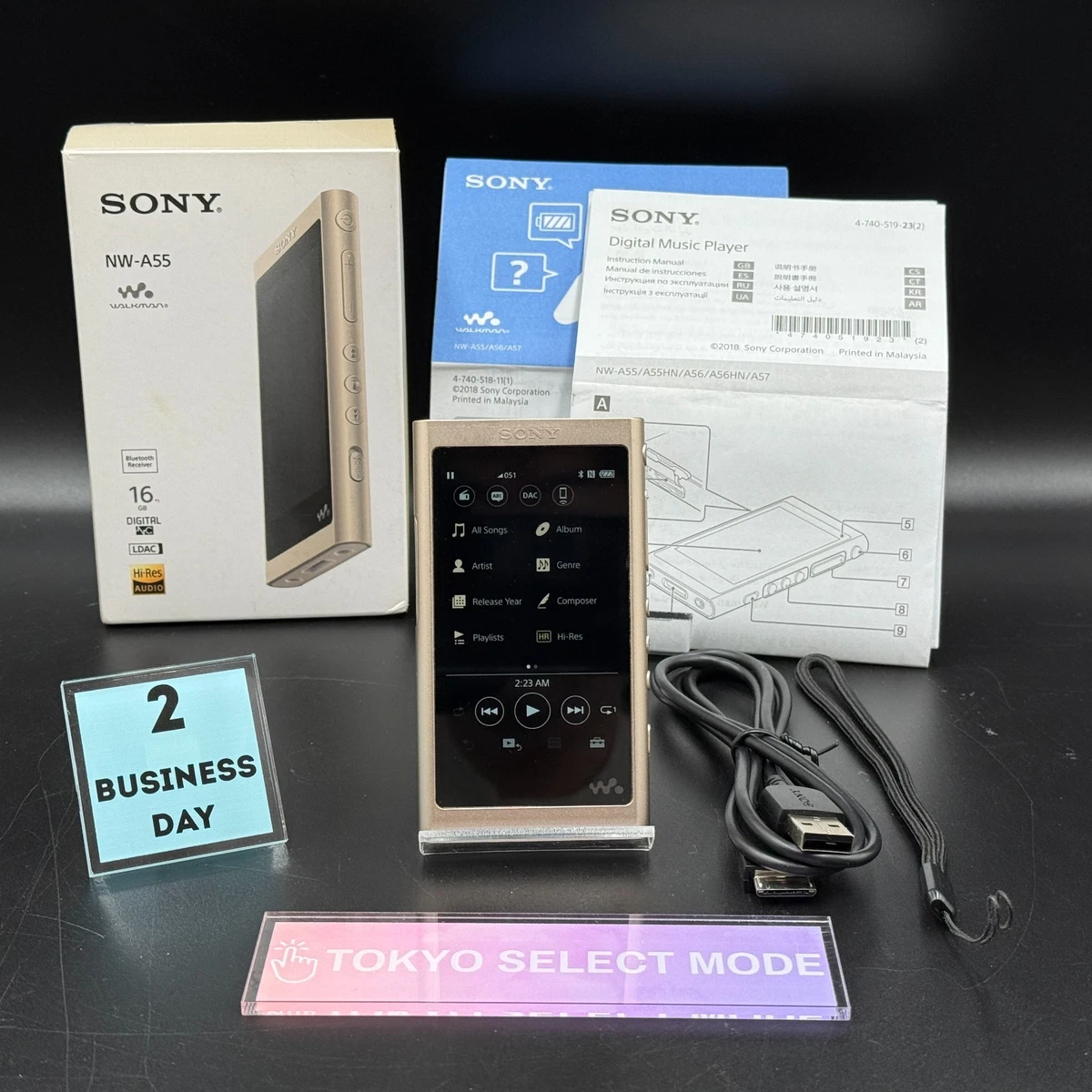 Sony NW-A55 MP3 Players for sale | eBay