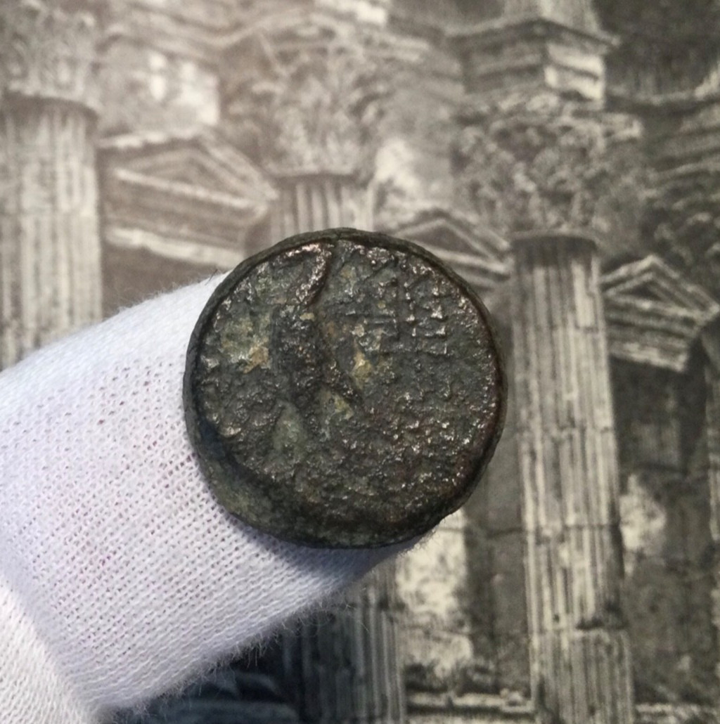 Seleucid Kingdom (struck 121-96BC) Antiochus VIII - AE16 [BMC 25-28] SHIPS FREE!