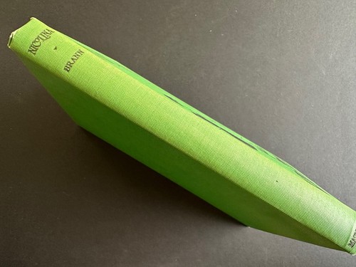 Nicolina, by Esther Brann - 1931 - 1st, 1st Rare Antique Hardcover Book - Foto 2 di 11