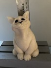 Foto 7 di 7
