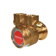 PROCON 11BA060F11DB - 3/8" G Brass Rotary Vane Pump Series 2