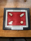 CS Civil War Custom Bullet Display Dug Confederate Artifacts - Richmond, Va