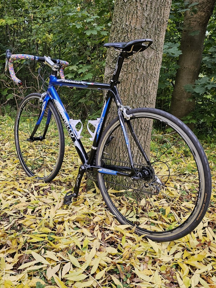 Vintage Retro Pinarello Angliru Campagnolo Aluminium Frame Carbon Fork