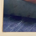 Bild 5 von 8
