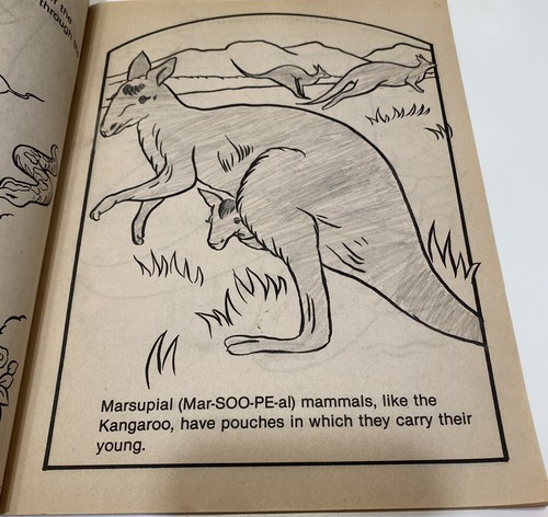 Vtg 80s Dinosaurs Color Activity Book Scholastic Book Lot - Foto 9 di 23