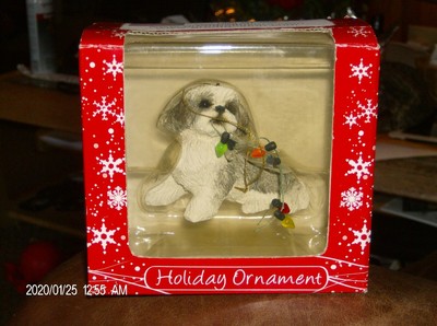 shih tzu muzzle petsmart