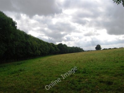 Foto 6x4 Der Nordrand des Buchenholz Steinkreuzes\/TQ5238 um 2009