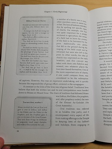 The Most Tenacious of Minorities : The Jews of Italy by Sara Reguer - Picture 11 of 14