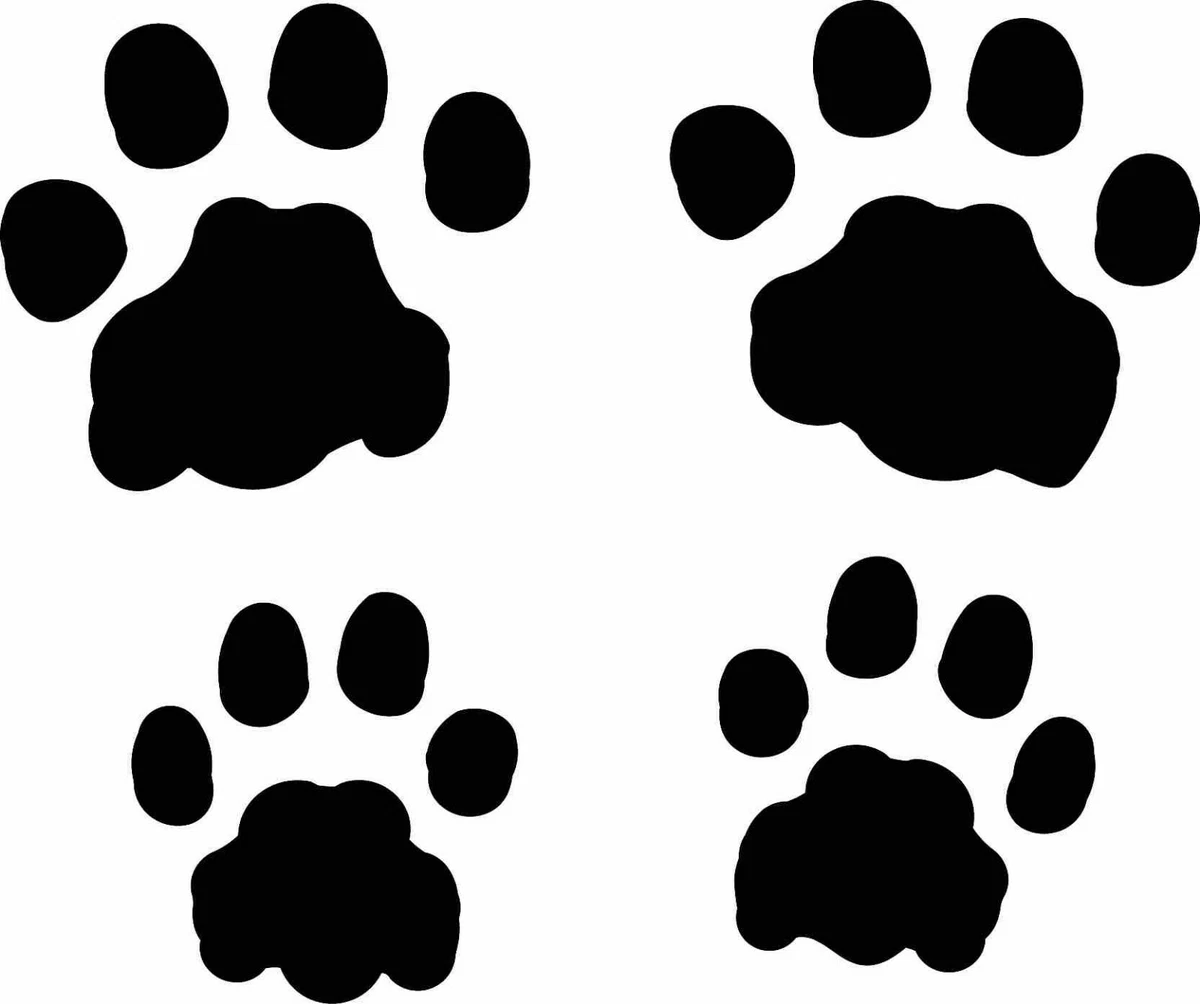 track footprint sticker / mountain lion paw print decal |