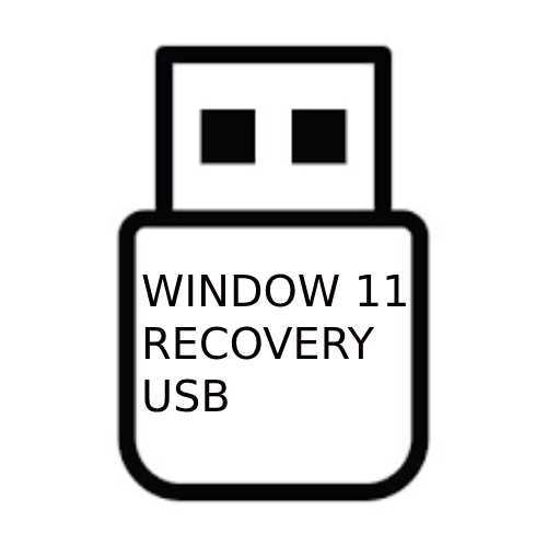 windows 11 24h2 recovery media on usb - 第 1/2 張圖片