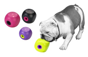 buster cube for dogs