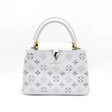 AUTH LOUIS VUITTON CAPUCINES BB LV BRODERIE ANGLAISE M20742 2-WAY BAG WHITE F/S