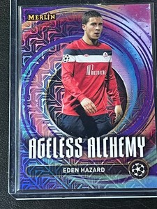 Merlin Purple | eBay