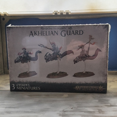 Citadel Games Workshop Warhammer Idoneth Deepkin Akhelian / Morsarr Guard