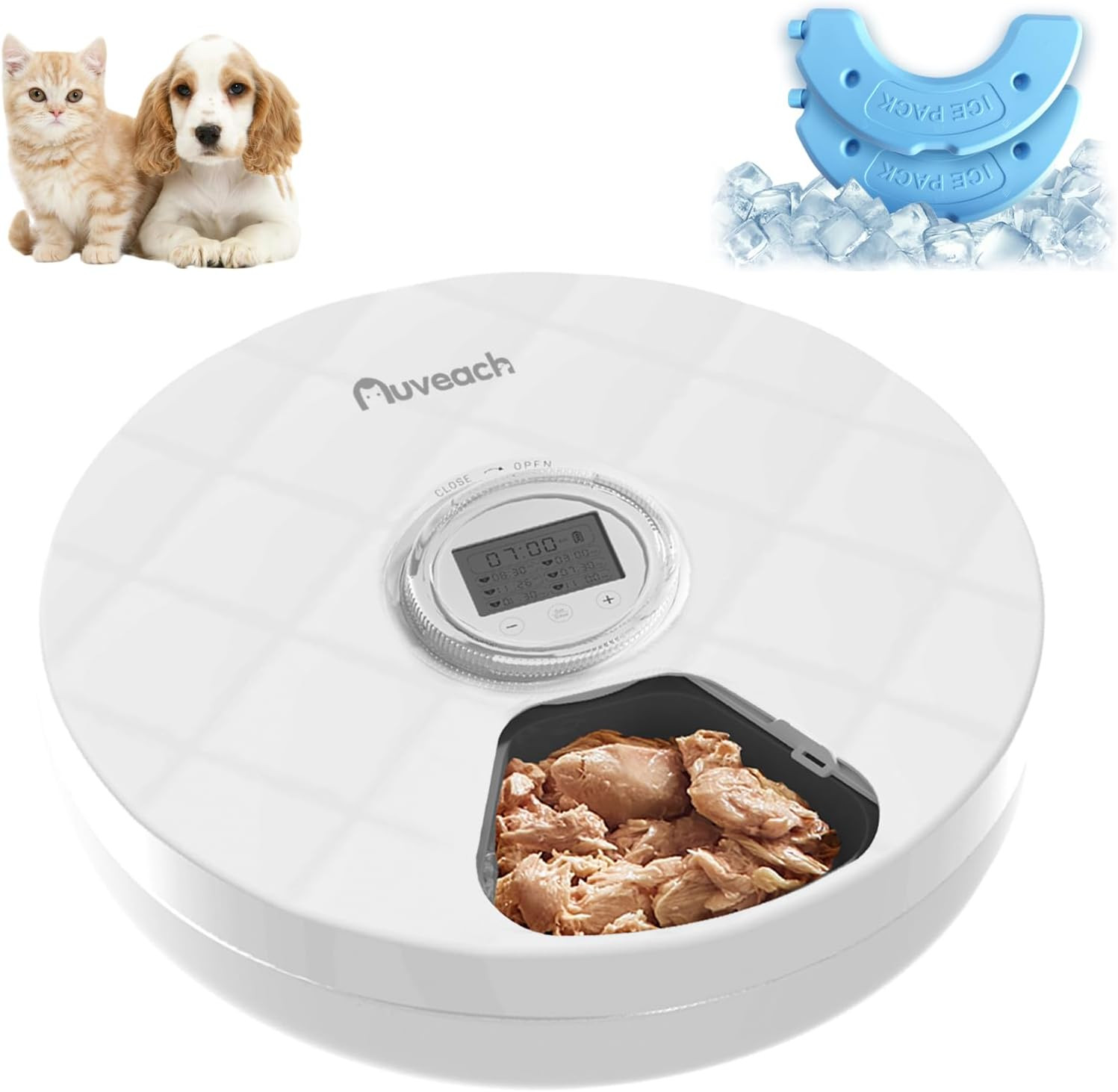 Mangiatoia Automatica Gatti Cani | Dispenser Cibo Umido con Timer