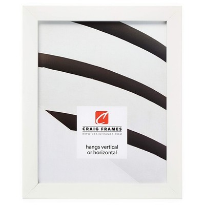 Craig Frames Confetti Modern White Picture Frame 12 X 16 Inch 140653