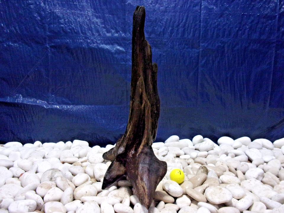 Large Driftwood Aquarium Loose Wood, Very Low Tannins, Freshwater