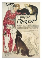 Clinique Cheron Steinlen cards + envs 10 pack, folded A6 blank GIFT dispatch
