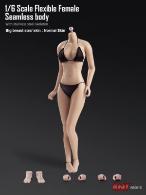 ANT 1/6 Super Flexible Seamless Female Normal Skin Mid Breast