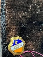 vintage small Teutonia pin