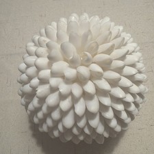 Large White Shell Flower Sculpture Coastal Seashell Ball Boho Beach Decor 6 In