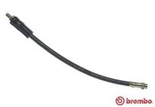 Flexible de frein Renault VEL SATIS
