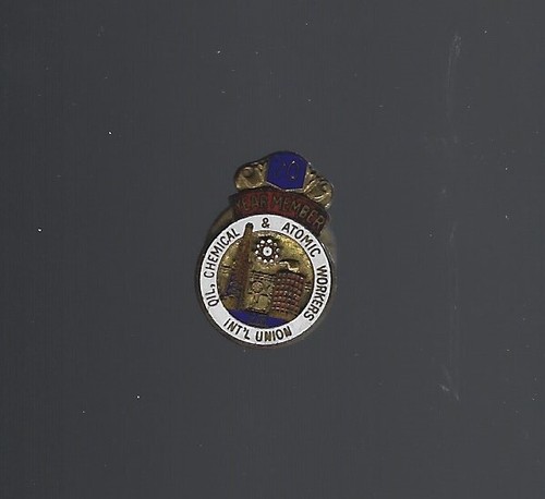 International Oil Chemical & Atomic Workers Union 20-Year Member Lapel Hat Pin
