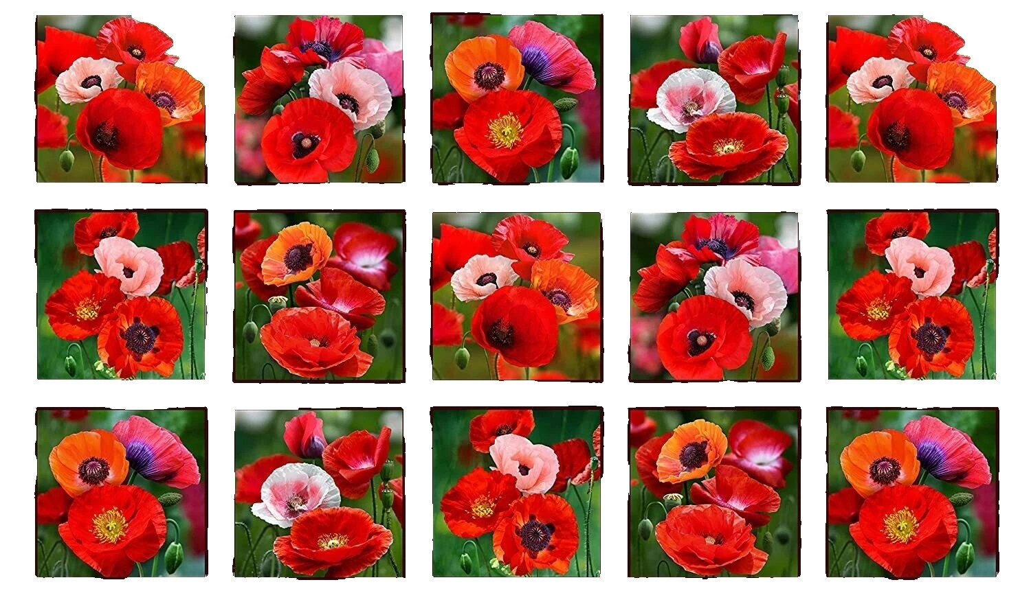 Poppy Floral Quilting Craft Fabrics