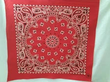 Red Black White Scarf Bandana Handkerchief ~ Hav A Hank USA Very Nice Condition