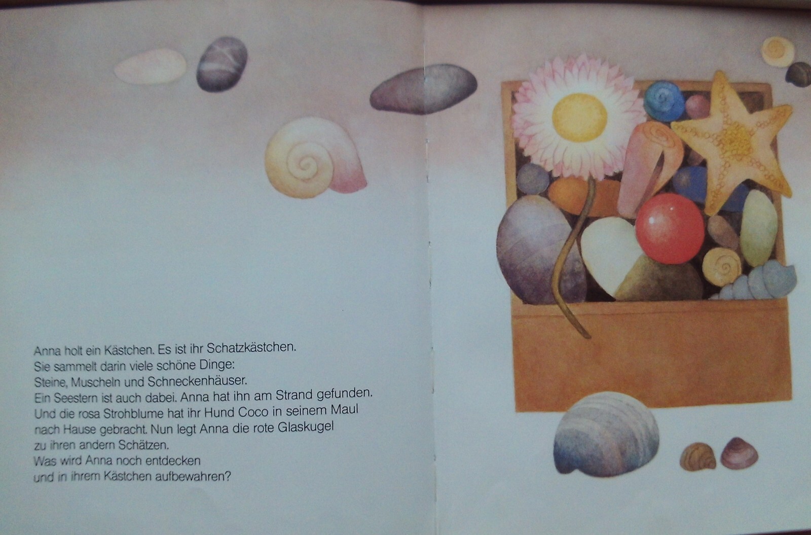 Bild 11 von 11