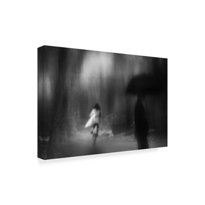 1X06794-C2232GG Fine Art, 22x32-Inch, Multicolor
