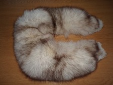 Real Fox Vulpes vulpes Fur vintage Collar stole Taxidermy