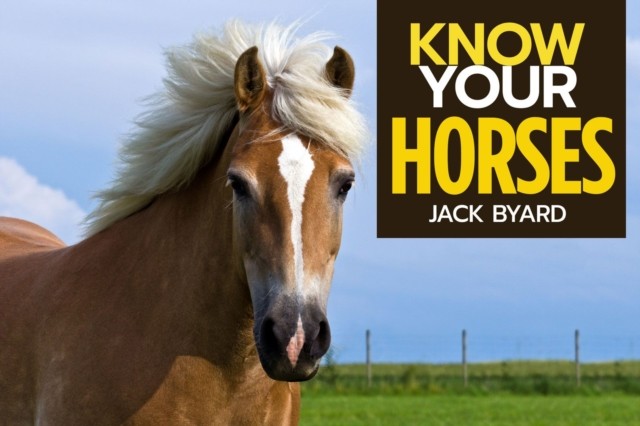 Know Your Horses by Jack Byard (Paperback Book) - Image 5