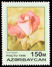 AZERBAIJAN 600 - Garden Roses "Rose Gaujard" (pb76256)
