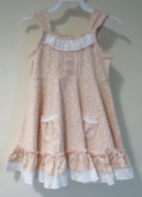 NWT Serendipity From Shrimp & Grits Floral With Eyelet Lace Dress Girl's  2T-3T | eBay