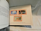 Foto 9 di 9