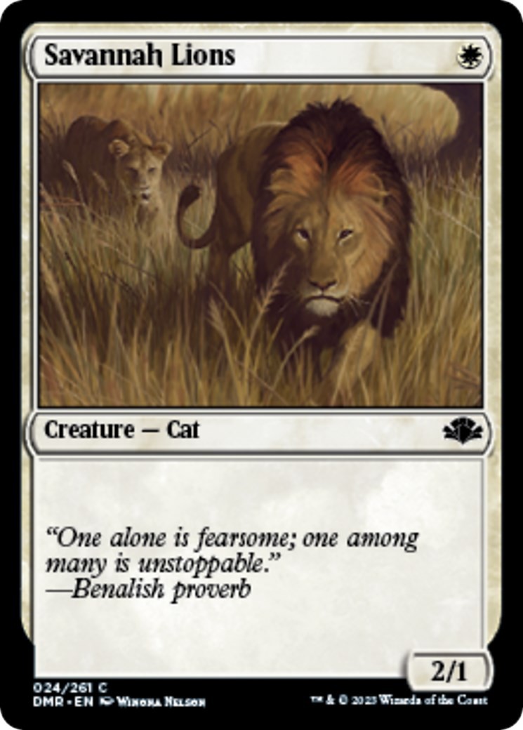Savannah Lions - DMR - 24 NM/LP