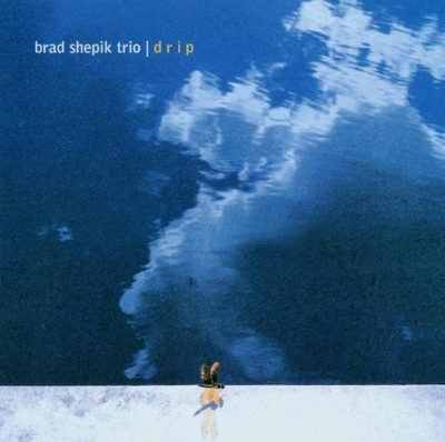 Brad Shepik Drip (CD)