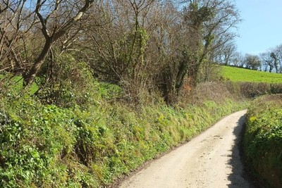 Foto 12x8 Spur nach Penpoll Golant Blick in die andere Richtung von wo c2017