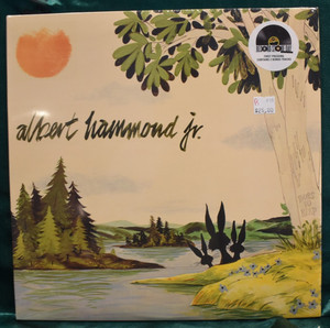 Albert Hammond Jr Yours to Keep | eBay