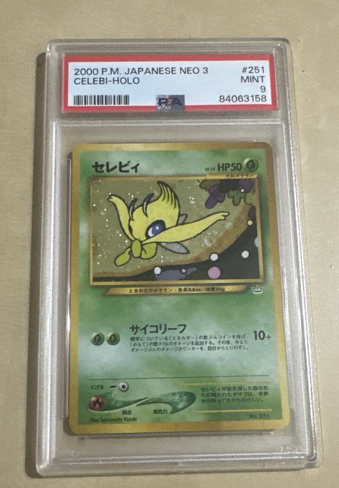 Celebi Neo Premium File 3 Regular (Japanese)