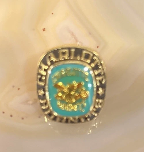 Vyg. Charlotte Hornets Clothing Pin NBA Basketball - Image 3 of 3